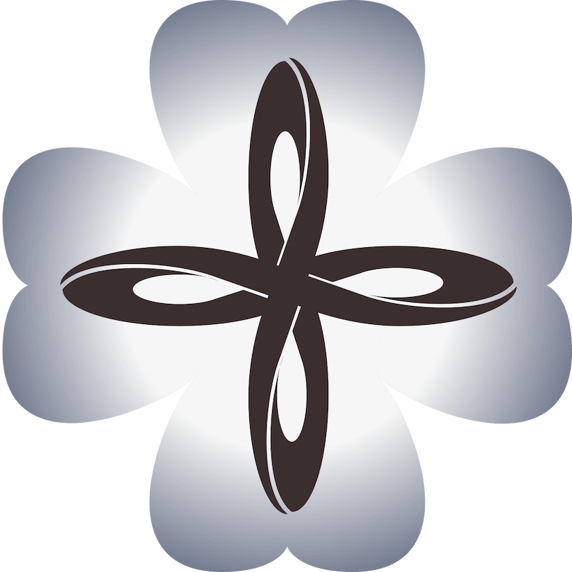 Professionelle Reinigung für Zuhause